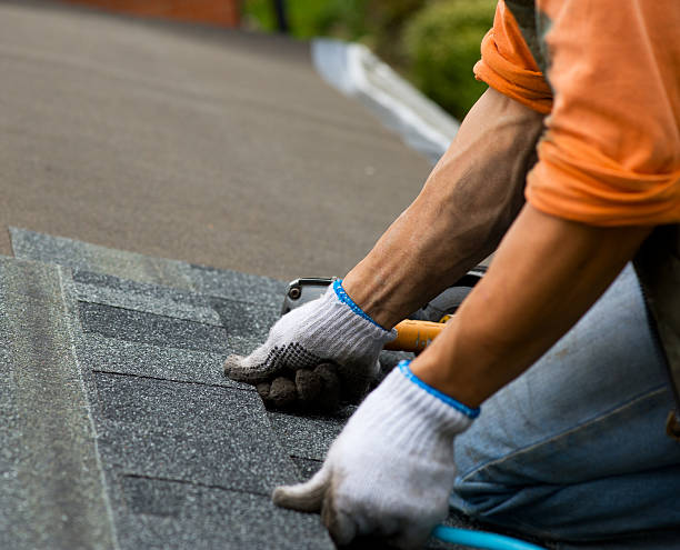 Best Flat Roof Repair Services  in Ormond By The Sea, FL